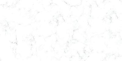 White marble pattern texture for the background. Abstract black scratch on white surface. Abstract marble texture design for tiles or floor. Black crack on white background. vector