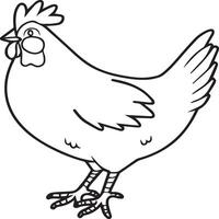 Chicken coloring pages. Chicken outline vector for coloring book