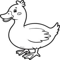 Duck coloring pages. Duck outline vector for coloring book