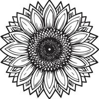 Sunflower coloring pages. Sunflower outline vector