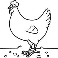 Chicken coloring pages. Chicken outline vector for coloring book