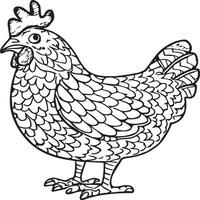 Chicken coloring pages. Chicken outline vector for coloring book