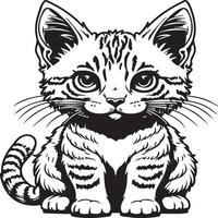 Cute cat coloring pages for coloring book. Cat outline vector