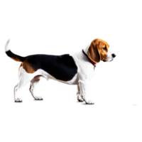 AI Generated Silhouette of Beagle Dog isolated on transparent background png