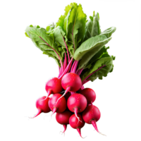 ai generado de cerca imagen de microgreens , con un creativo atención en el diminuto, delicado hojas png