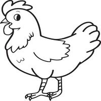 Chicken coloring pages. Chicken outline vector for coloring book