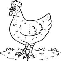 Chicken coloring pages. Chicken outline vector for coloring book