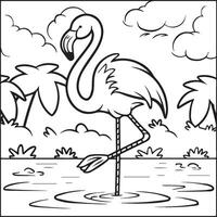 Flamingo coloring pages. Flamingo outline vector for coloring book