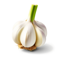 AI Generated Garlic bulb isolated on transparent background. A cluster of fresh garlic bulbs, with their papery skins intact, captured from a close-up png