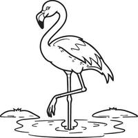 Flamingo coloring pages. Flamingo outline vector for coloring book