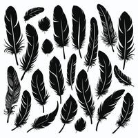 Feather silhouette illustration ink drawing vector art