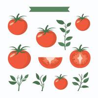 Tomato clip art vector illustration