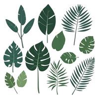 Exotic leaves set vector collection