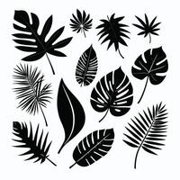 Exotic leaves silhouette set vector collection