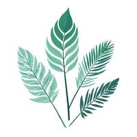 Exotic leaves set vector collection