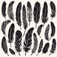 Feather silhouette illustration ink drawing vector art