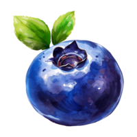 AI generated Blueberries, fruits. Watercolor botanical illustration. Hand drawn berry in watercolor on a background. png