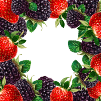 ai generato un' varietà di frutta e frutti di bosco, un' telaio per un assortimento di dolce frutta. multivitaminico complesso striscione. il design di il disposizione per frullati. png