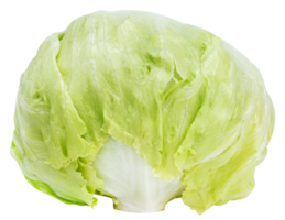 tête croustillante salade légume png