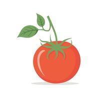 Tomato clip art vector illustration