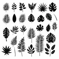 Exotic leaves silhouette set vector collection