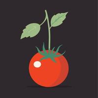 Tomato clip art vector illustration