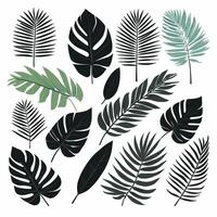 Exotic leaves set vector collection