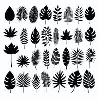 Exotic leaves silhouette set vector collection