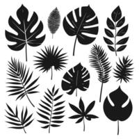 Exotic leaves silhouette set vector collection