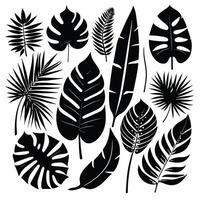 Exotic leaves silhouette set vector collection