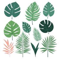 Exotic leaves set vector collection