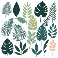 Exotic leaves set vector collection