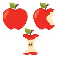 Illustration Of Various Apple Shapes vector