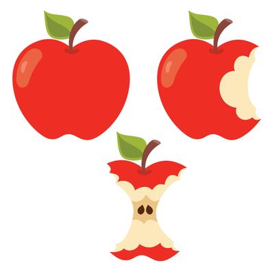Illustration Of Various Apple Shapes