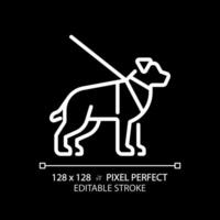 Guide dog white linear icon for dark theme. Visual impairment, support animal. Pet training. Blindness support services. Thin line illustration. Isolated symbol for night mode. Editable stroke vector