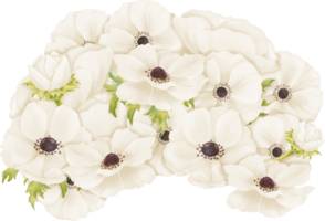 illustration featuring white anemones arranged in a composition. This artwork is for use in greeting card designs, web design, advertising png