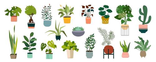 Decorative houseplants in pots mega set in flat graphic design. Collection elements of home potted plants with variation green foliage of monstera, ficus, succulent, calla lily. Vector illustration.