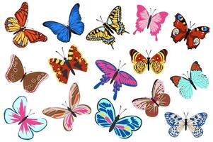 mariposas mega conjunto elementos en plano diseño. haz de diferente tipos y colores tropical volador mariposas con resumen vistoso patrones alas. vector ilustración aislado gráfico objetos