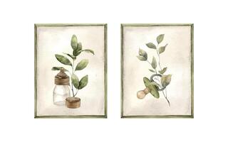 Set of photo frames with white background and green frames, design with green plants, pacifier and bottle. Isolated watercolor illustration for children's interior, cards, stickers, textiles, design vector