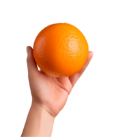 ai gegenereerd een hand vasthouden oranje fruit geïsoleerd Aan een transparant achtergrond, PNG