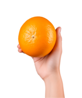 ai generiert ein Händchen halten Orange Obst isoliert auf ein transparent Hintergrund, png