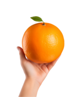 AI generated a hand-holding orange fruit isolated on a transparent background, PNG