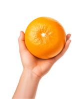 AI generated a hand-holding orange fruit isolated on a transparent background, PNG