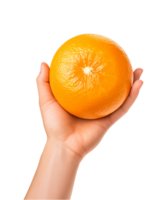 ai généré une se tenir la main Orange fruit isolé sur une transparent arrière-plan, png