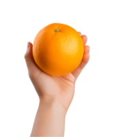 ai generiert ein Händchen halten Orange Obst isoliert auf ein transparent Hintergrund, png