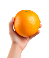 ai généré une se tenir la main Orange fruit isolé sur une transparent arrière-plan, png