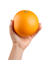 AI generated a hand-holding orange fruit isolated on a transparent background, PNG