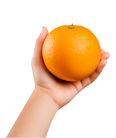 ai gegenereerd een hand vasthouden oranje fruit geïsoleerd Aan een transparant achtergrond, PNG