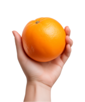 ai generiert ein Händchen halten Orange Obst isoliert auf ein transparent Hintergrund, png