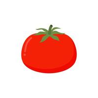 Tomato isolated single simple cartoon illustration. vegetable organic eco bio product from the farm vector illustration. Tomato flat design object for vegetarian design